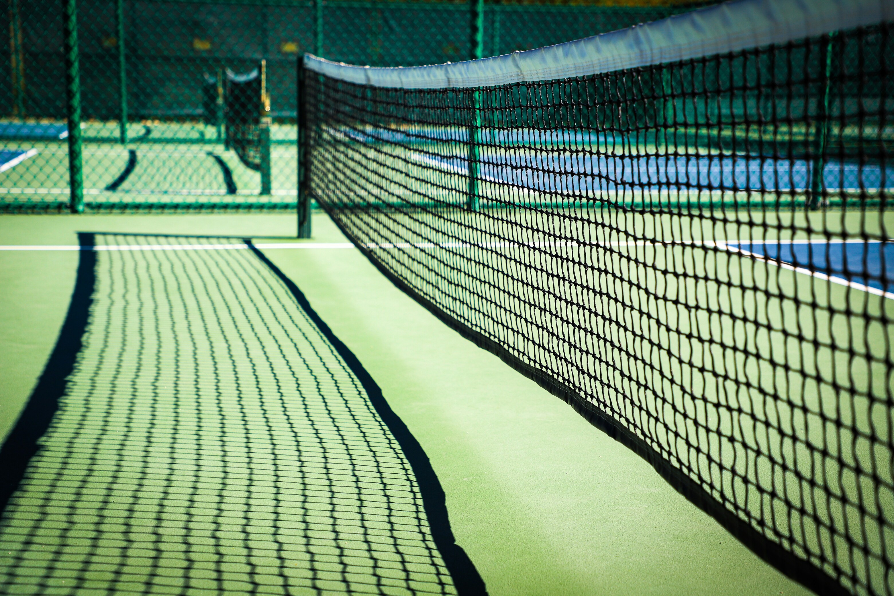 High-Growth Sports Brand